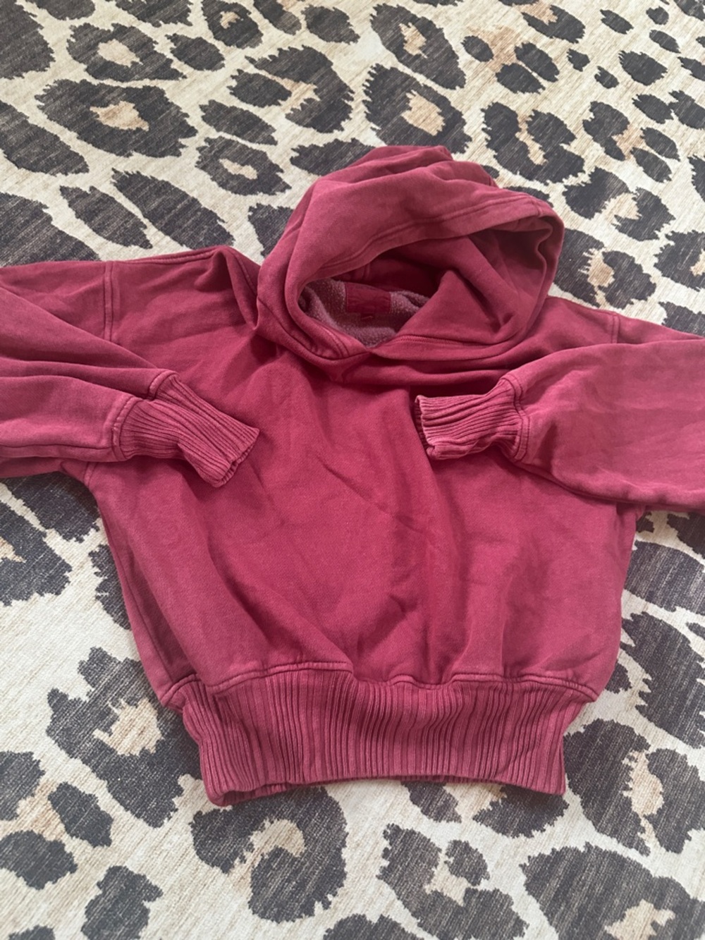 aerie Vintage maroon Cropped Hoodie